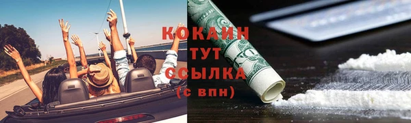 эйфоретик Почеп